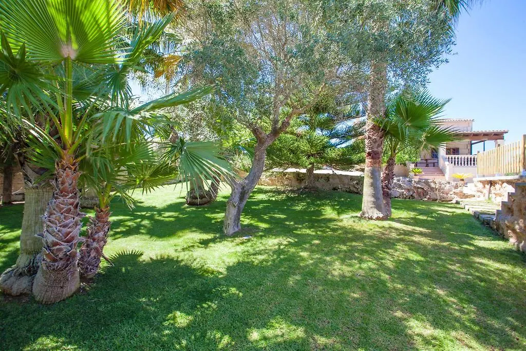 Son Mieres Villa Petra  Petra (Mallorca)