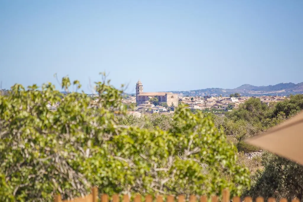 Son Mieres Villa Petra  Spanje